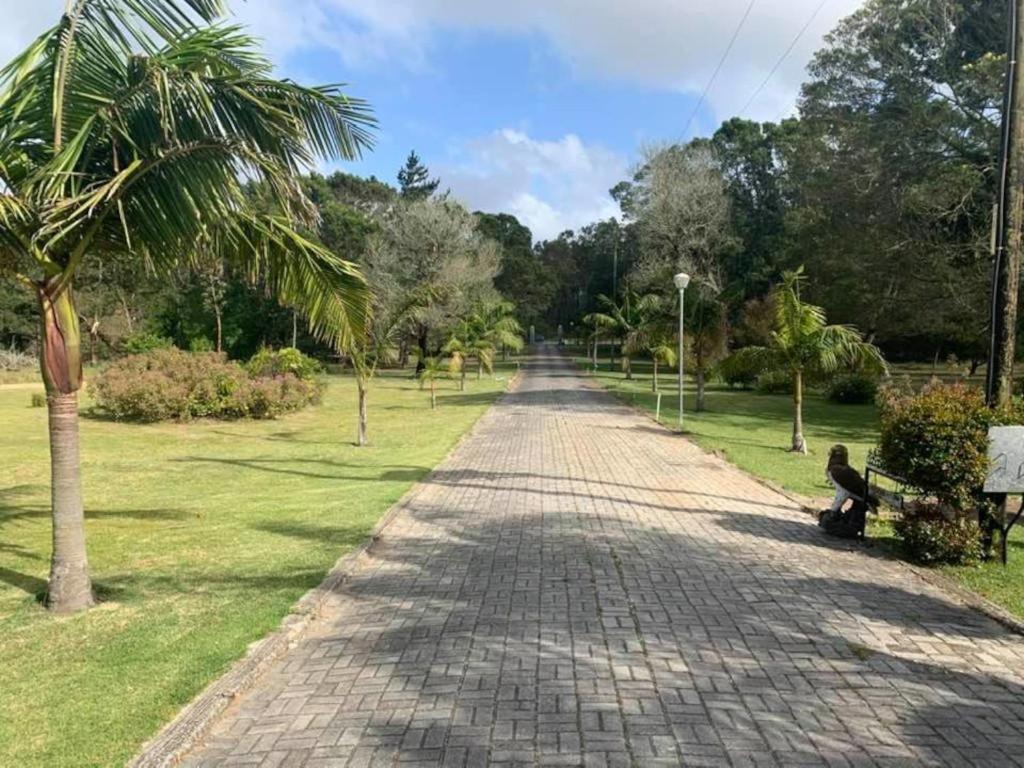 Palm Villa Port Elizabeth Eksteriør billede